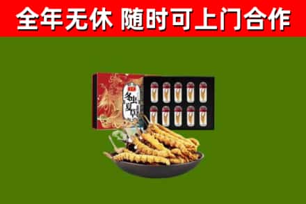 林芝烟酒回收冬虫夏草礼盒.jpg